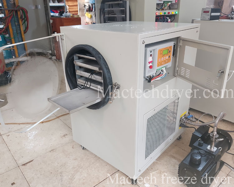 mst30gd freeze dryer for drying about 3kg raw material
