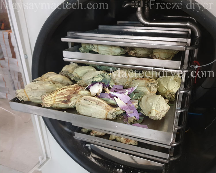 Freeze drying process for lotus tea