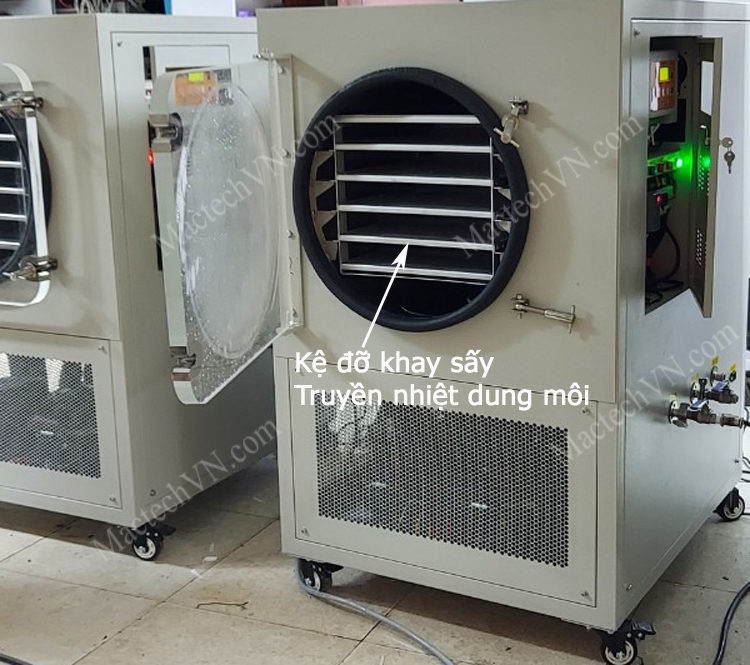 mst50gd freeze drying machine, suitable for 5kg raw materials