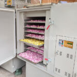 MSL500 heat pump dryer, drying about 50kg of fruit, vegetable, herb, nut