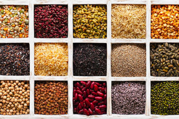 Learn about cereals, including cereal grains, beans and nuts