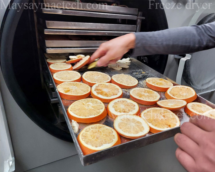 orange freeze drying, crispy and porous