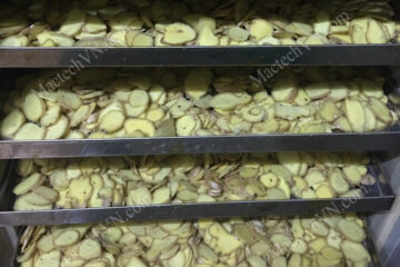 Dried ginger dryer, drying temp 35 – 95oC, to meet drying from 10-500kg