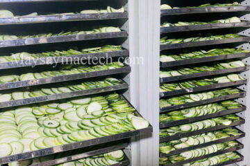 Winter melon dryer, produces squash tea effectively and beautiful color