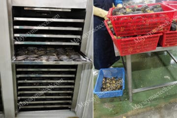 Duyen Hai Seafood Company, the dried sea cucumbers for export
