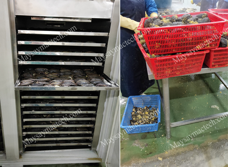 Duyen Hai Seafood Company, the dried sea cucumbers for export