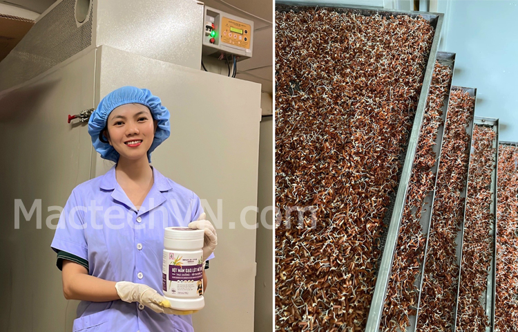 Bh.nong brown rice Product - Phuong Nga Production Company, drying for rice, drying vegetable