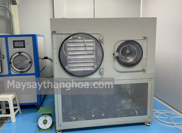 Viet Anh Company, uses 30kg freeze dryer to dry probiotics