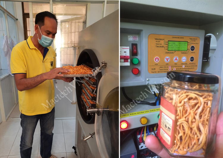 Tra Vinh University, produce cordyceps mushrooms with MST100