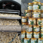 Thanh Hung Agriculture Company, produces crispy dried durian