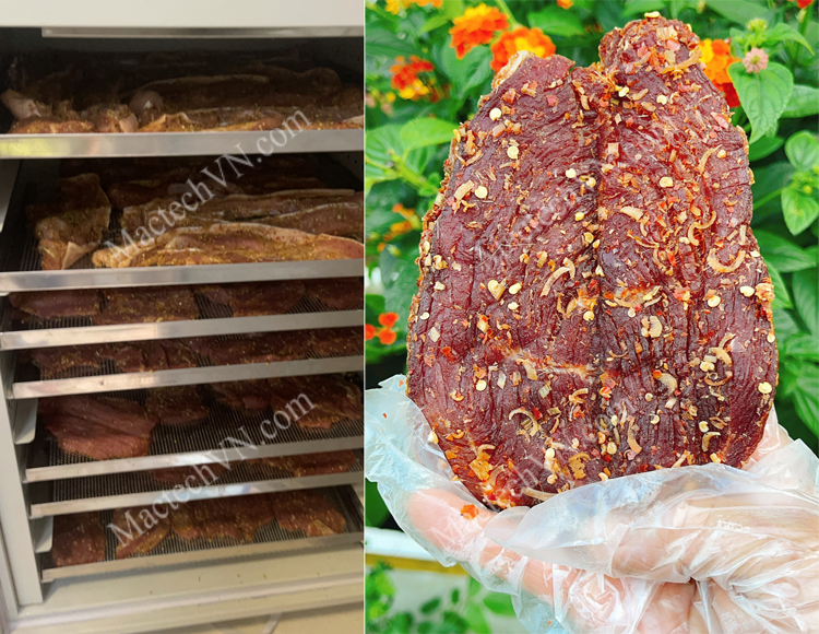 Le Duoc dried beef, facility in Gia Lai, dried on MSD500 dryer