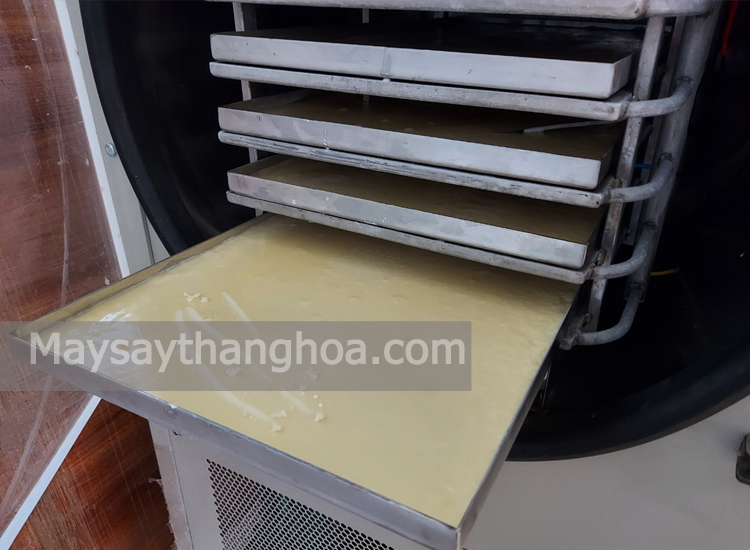 Viet Anh Company, uses 30kg freeze dryer to dry probiotics