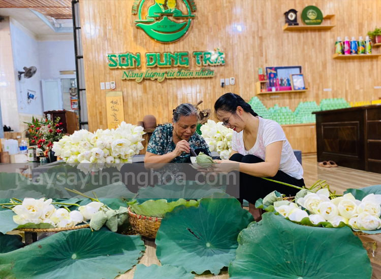 Son Dung Tea Cooperative, produce lotus tea, uses freeze dryer