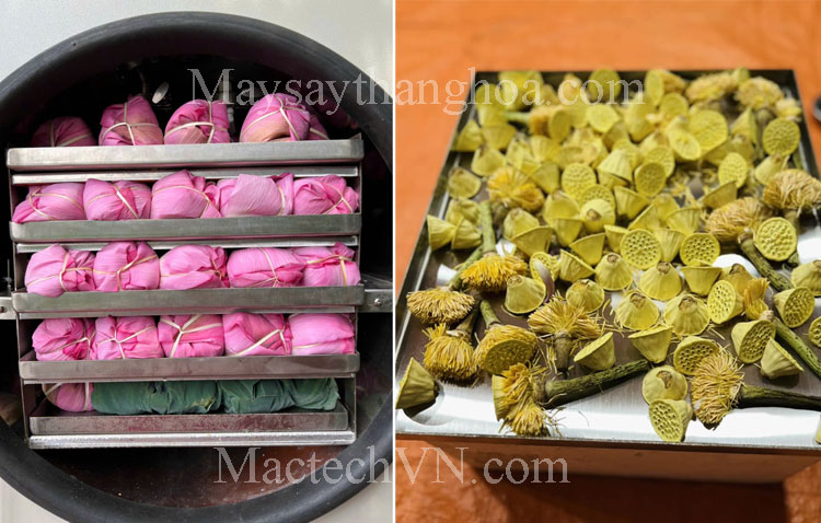 learn about Huong Thuy Tay Ho lotus tea, lotus marinated tea dried on a freeze dryer.