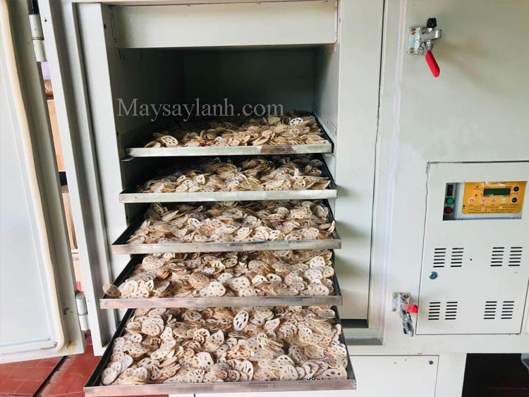 Customers need to refer to the dried lotus startup model, so let's learn about the Bao Lien lotus seed production facility with a suitable lotus dryer.