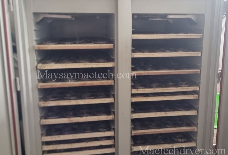 Dried snake Dryer, drying all kinds of snakes, refer to snake drying