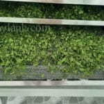 Typical cold dried product images for fruits, vegetables, herbs