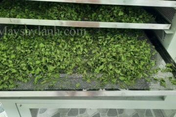 Typical cold dried product images for fruits, vegetables, herbs