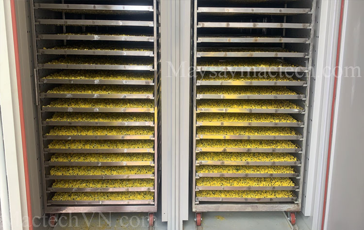 Chrysanthemum drying facility, Hoa Thien Phu Cooperative