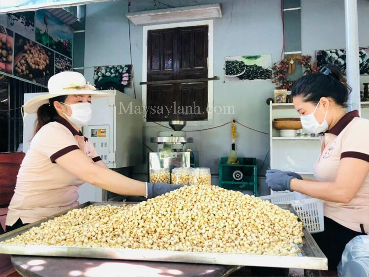 Customers need to refer to the dried lotus startup model, so let's learn about the Bao Lien lotus seed production facility with a suitable lotus dryer.