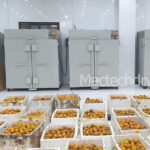 Mactech Vietnam Technology Company specializes in providing fruit dryers for large-scale dried fruit and vegetable production facilities. With modern drying technology, industrial fruit and vegetable dryers