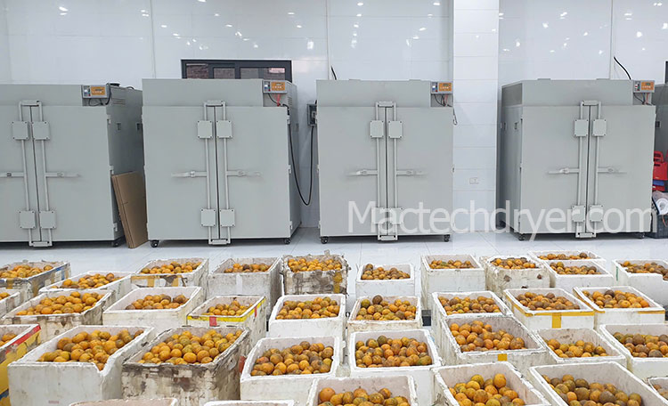 Mactech Vietnam Technology Company specializes in providing fruit dryers for large-scale dried fruit and vegetable production facilities. With modern drying technology, industrial fruit and vegetable dryers