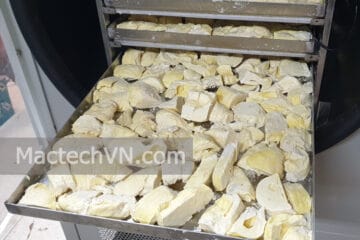 Product images of freeze drying, fruit drying, medicinal herb drying, food drying