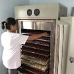 If you're looking for a 10-tier dryer with a capacity under 50kg, consider Mactech's 10-tray model for the best option.