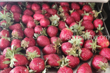 Crispy dried strawberries, How are their shape and color preserved?