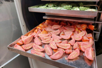 Crispy dried tomatoes, using a drying method that preserves their shape